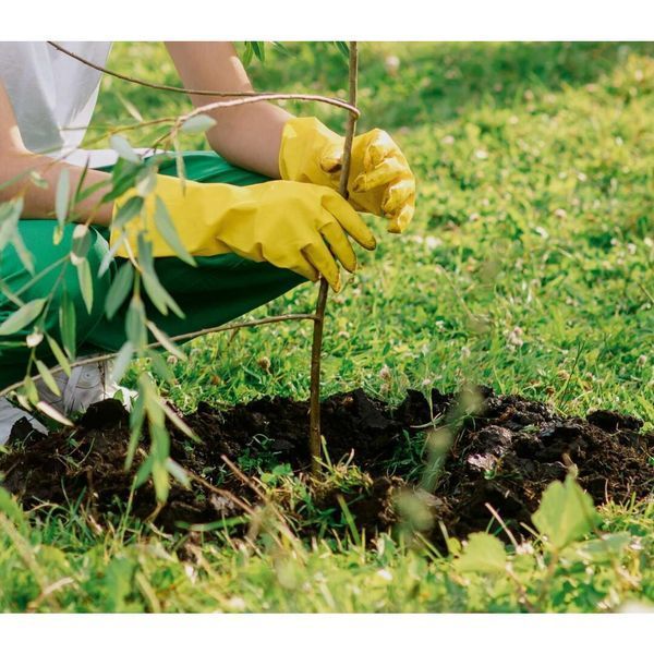 Мотобур Scheppach BAG2000-BE 58047059944 фото