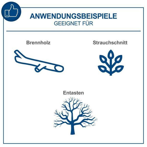 Бензопила Scheppach PCS56E (з електростартером) 5910116903 фото