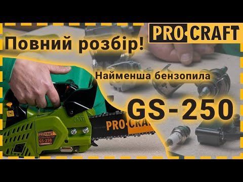Бензопила Procraft GS-250 (Шина, цепь 30) PR-600250 фото